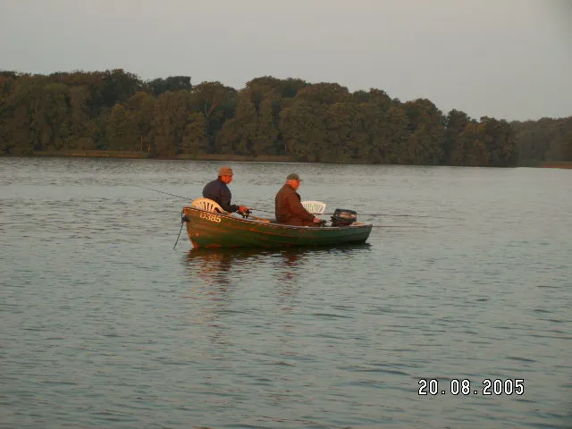Aborrekonkurrence 2005 (16)