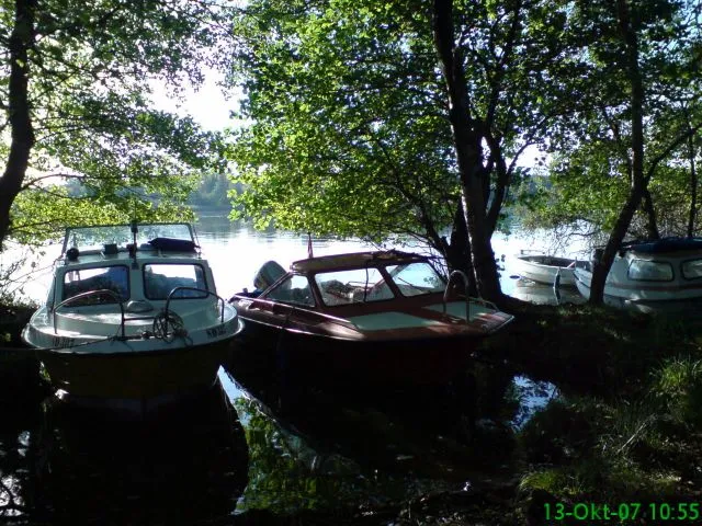 Broer op på Æbelø og Paradiso 2007 (7)