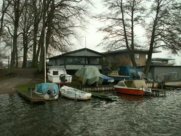 Træfældning 2007