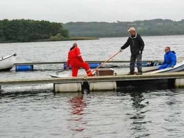 Broer op på Æbelø 2012